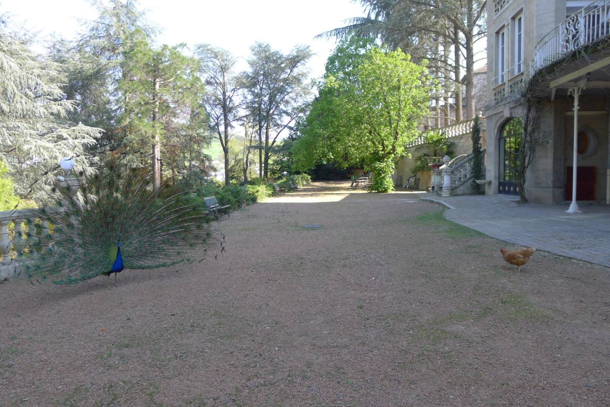 Вилла Le Manoir Тарар Номер фото